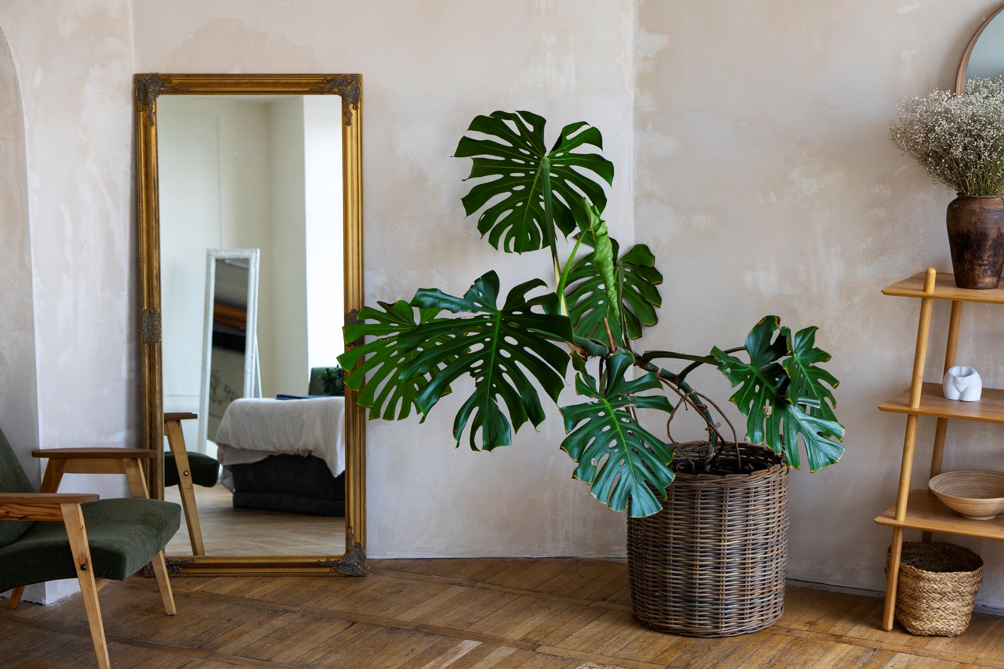room-decor-with-mostera-plant-wooden-shelf (1)